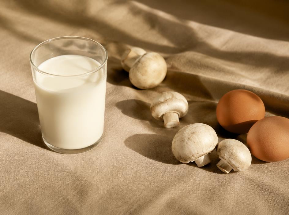 A glass of milk, mushrooms and eggs in sunlight